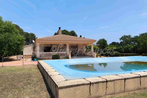 Villa i Yecla, Murcia, Yecla - € 325.000 | Ref: SF0534 - foto 31